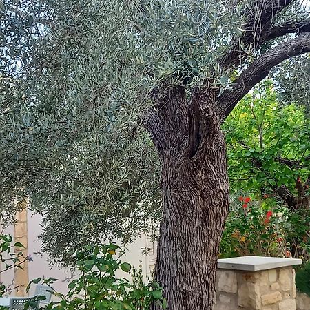 Villa Koumneni Πάνω Ακουρδάλεια Εξωτερικό φωτογραφία