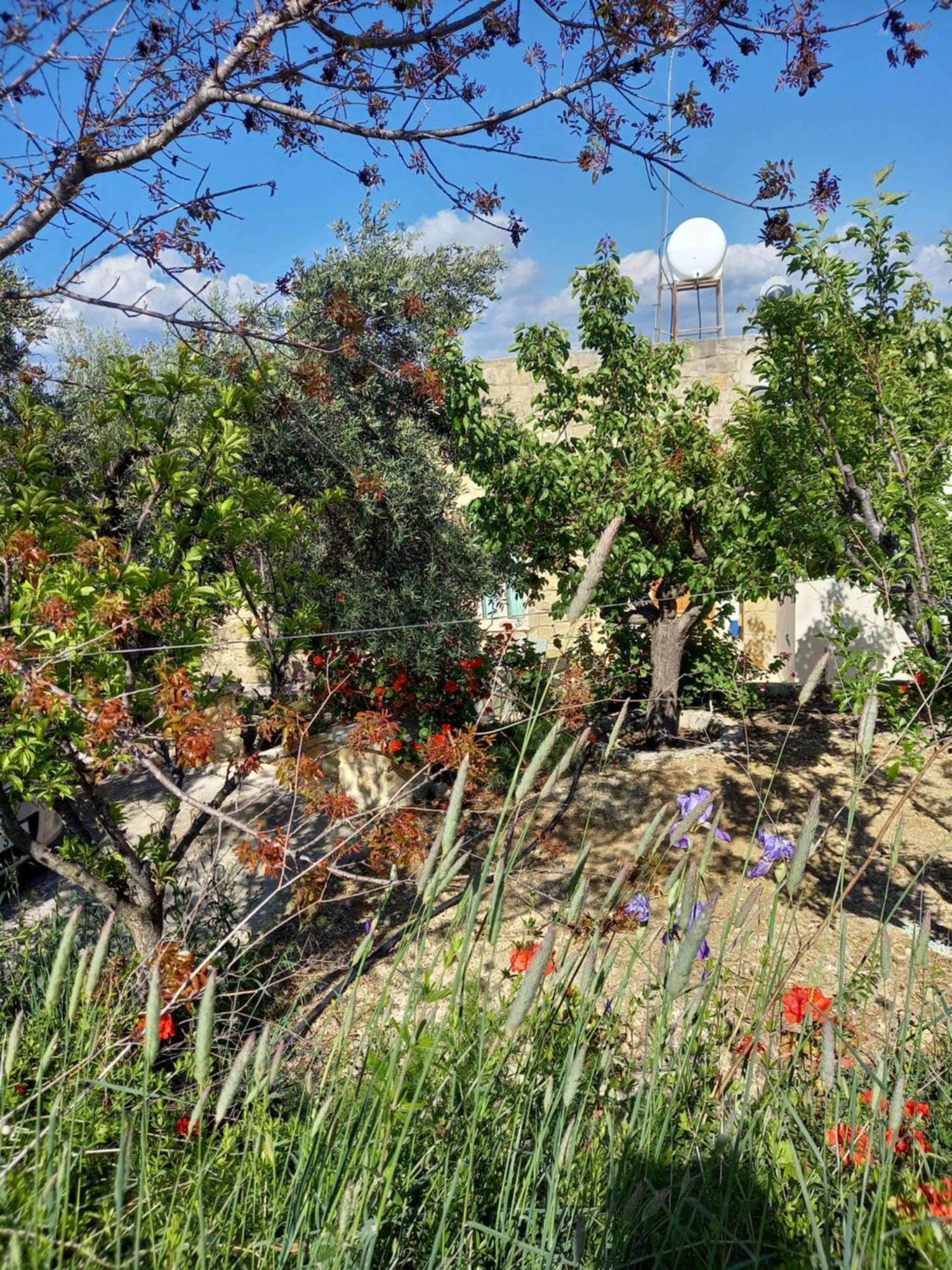 Villa Koumneni Πάνω Ακουρδάλεια Εξωτερικό φωτογραφία