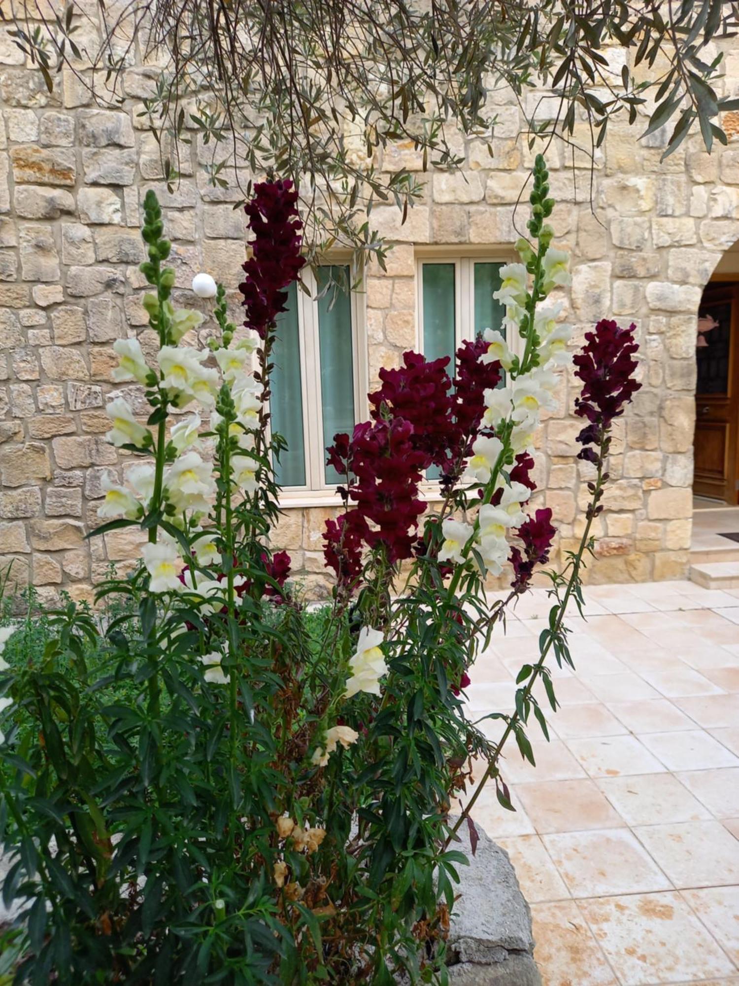 Villa Koumneni Πάνω Ακουρδάλεια Εξωτερικό φωτογραφία