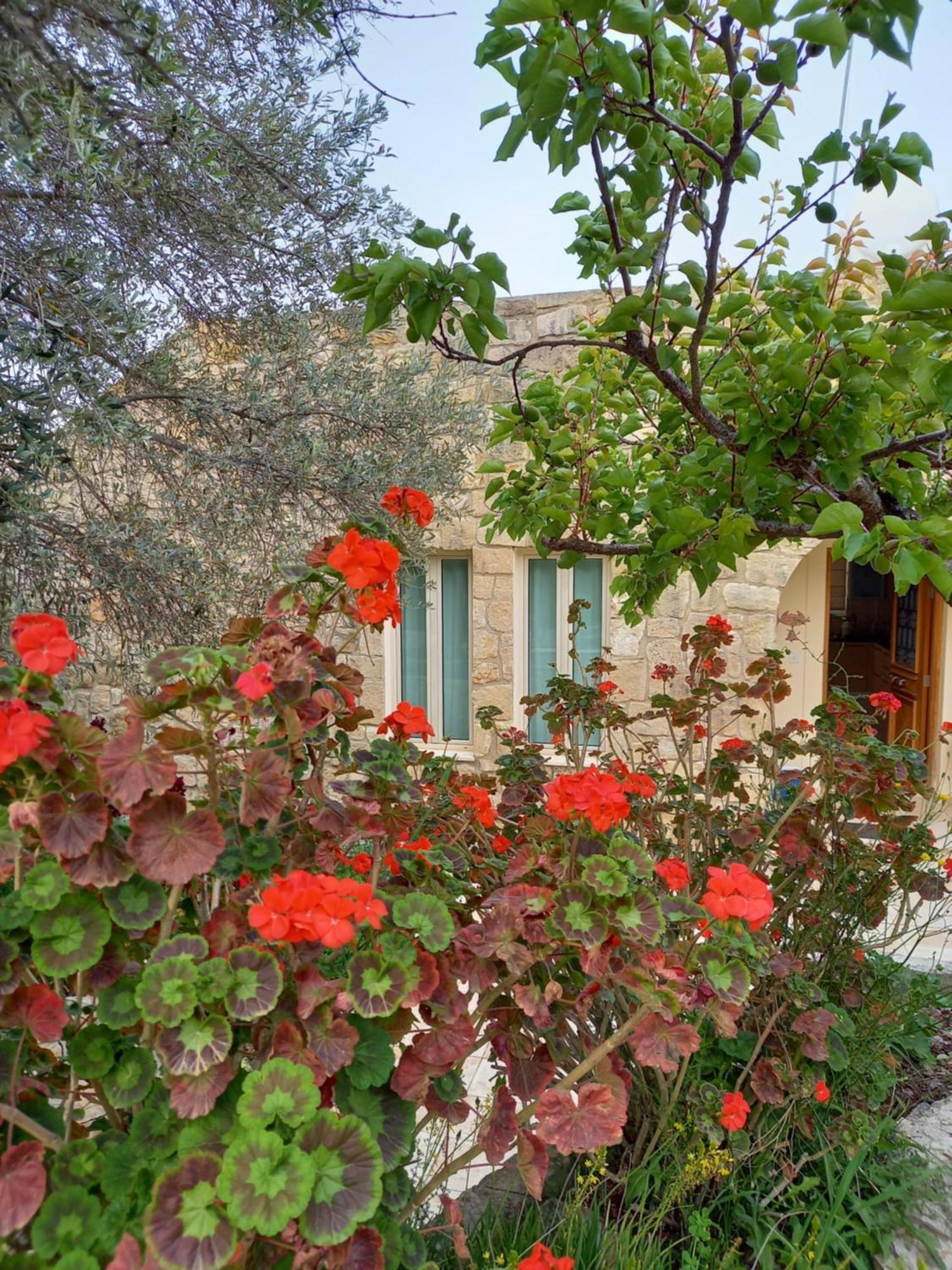 Villa Koumneni Πάνω Ακουρδάλεια Εξωτερικό φωτογραφία