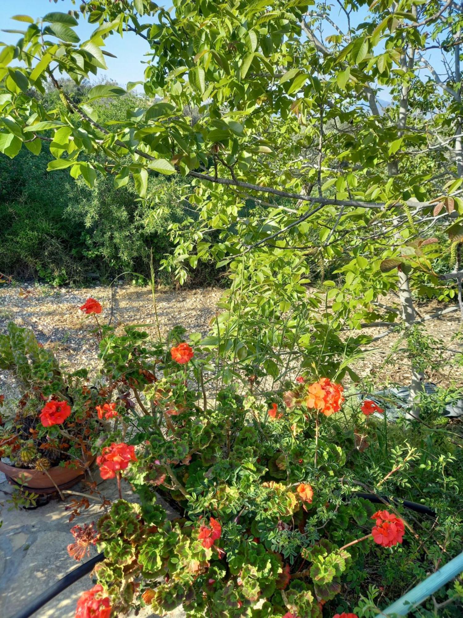 Villa Koumneni Πάνω Ακουρδάλεια Εξωτερικό φωτογραφία