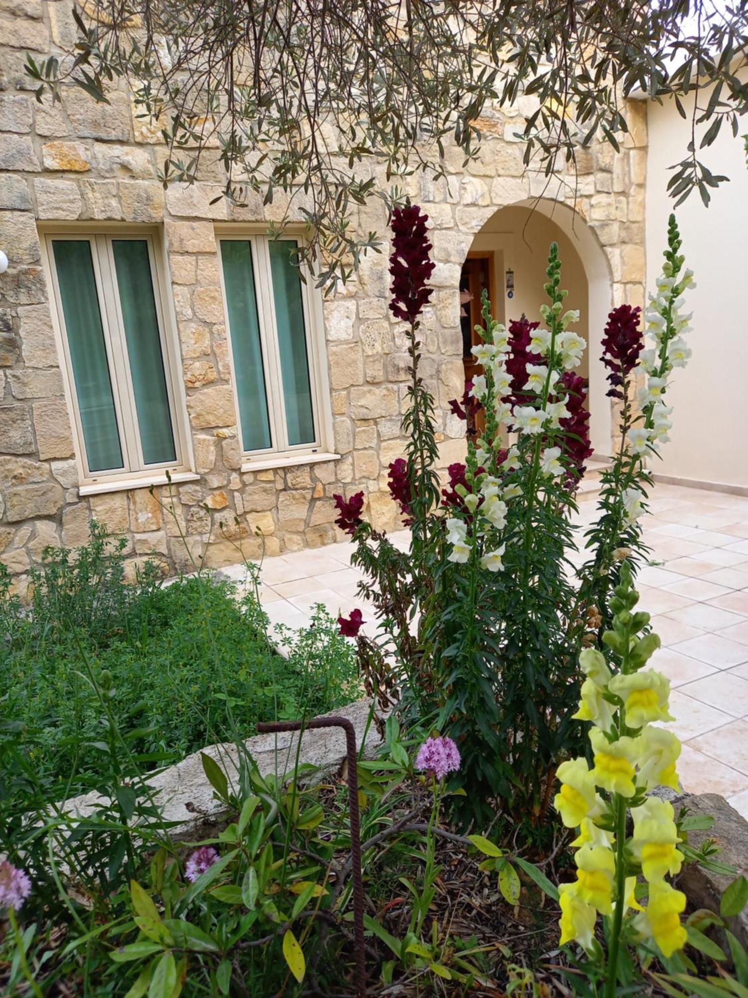 Villa Koumneni Πάνω Ακουρδάλεια Εξωτερικό φωτογραφία