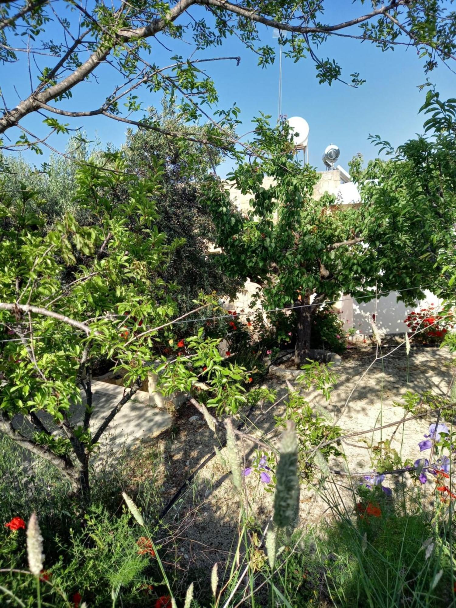 Villa Koumneni Πάνω Ακουρδάλεια Εξωτερικό φωτογραφία