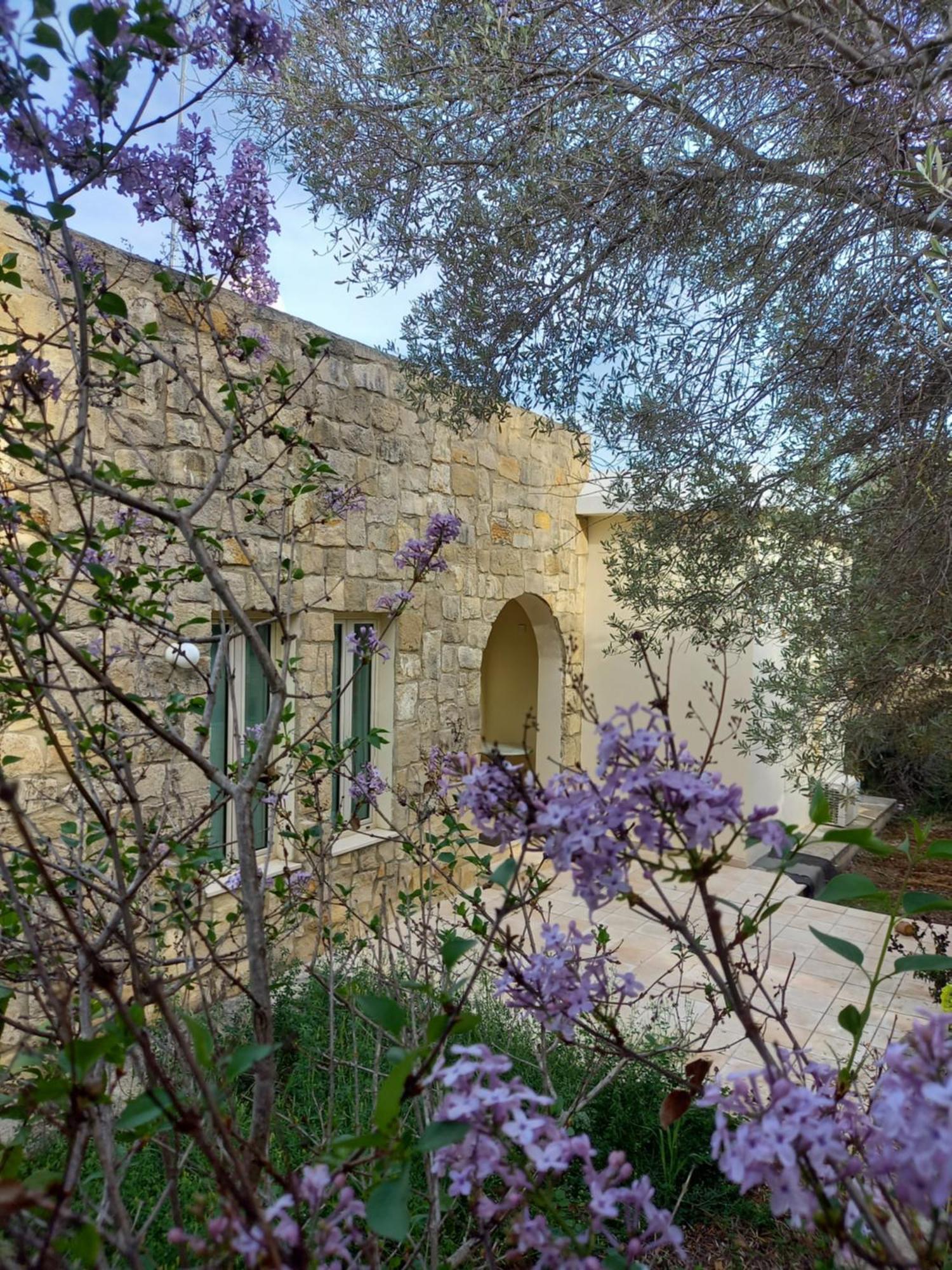 Villa Koumneni Πάνω Ακουρδάλεια Εξωτερικό φωτογραφία
