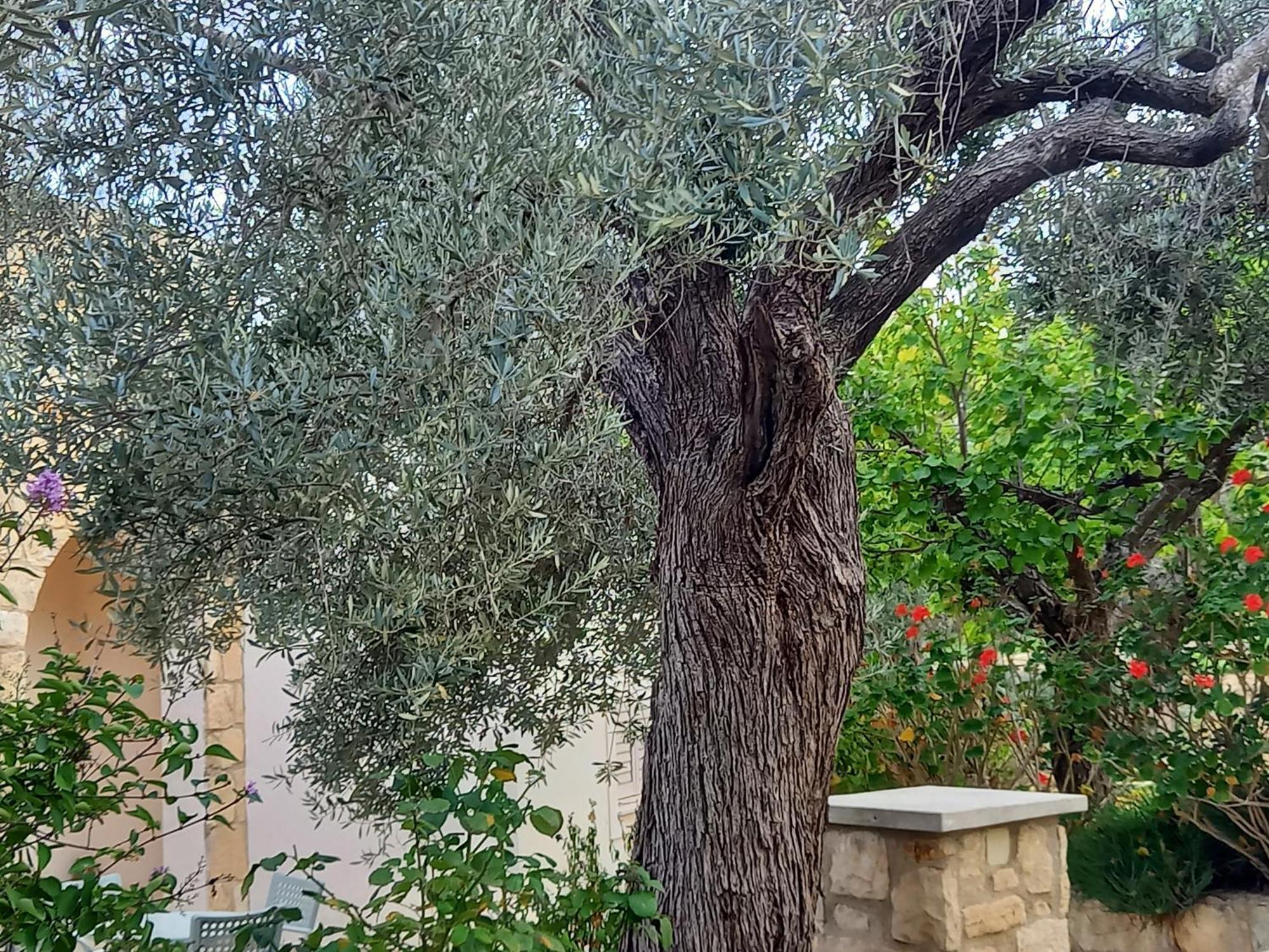 Villa Koumneni Πάνω Ακουρδάλεια Εξωτερικό φωτογραφία