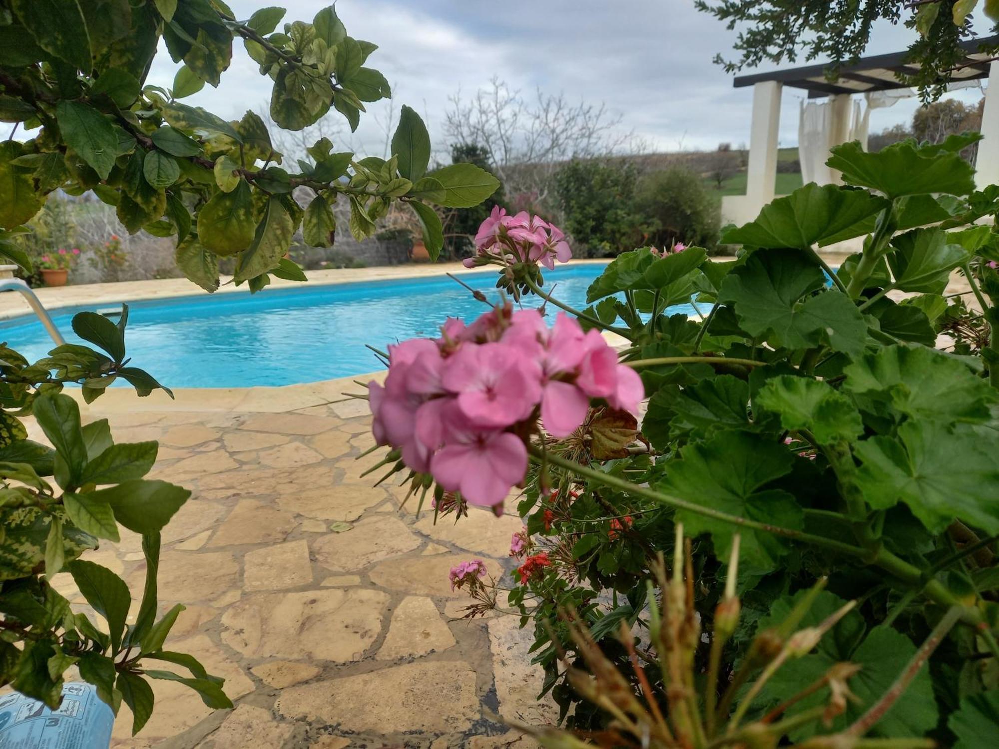 Villa Koumneni Πάνω Ακουρδάλεια Εξωτερικό φωτογραφία