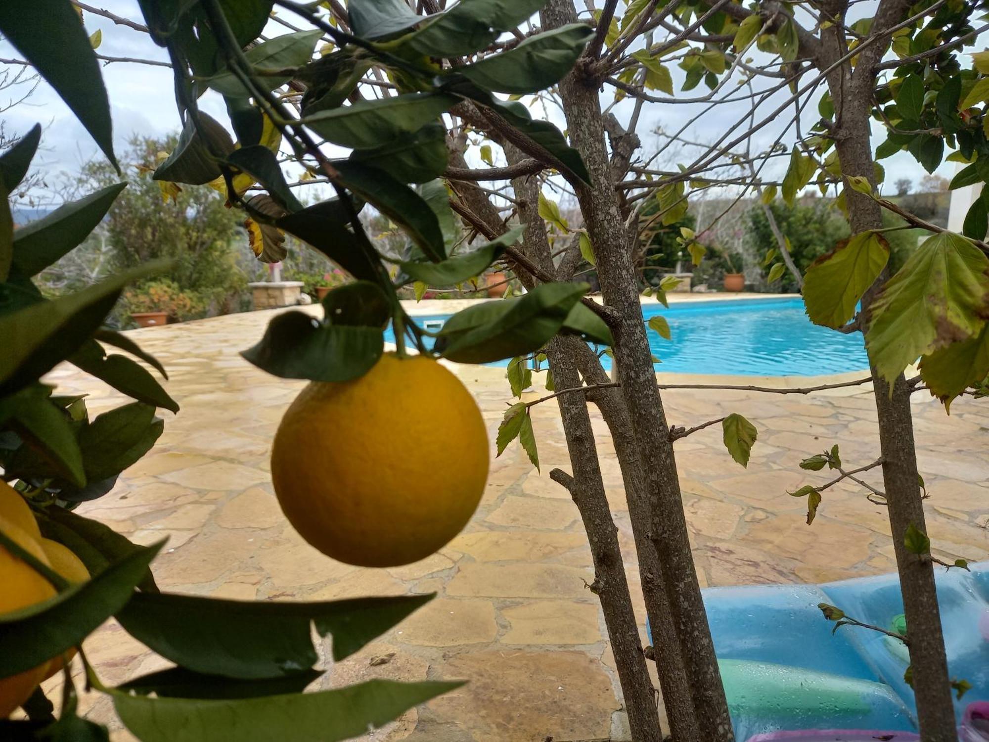 Villa Koumneni Πάνω Ακουρδάλεια Εξωτερικό φωτογραφία